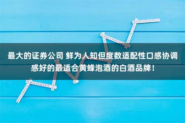 最大的证券公司 鲜为人知但度数适配性口感协调感好的最适合黄蜂泡酒的白酒品牌！