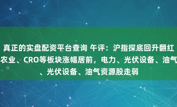 真正的实盘配资平台查询 午评:沪指探底回升翻红涨0.23%,农业、CRO等板块涨幅居前,电力、光伏设备、油气资源股走弱