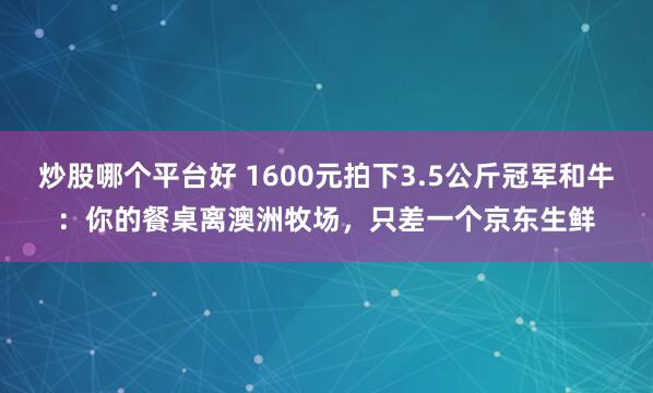 炒股哪个平台好 1600元拍下3.5公斤冠军和牛:你的餐桌离澳洲牧场,只差一个京东生鲜