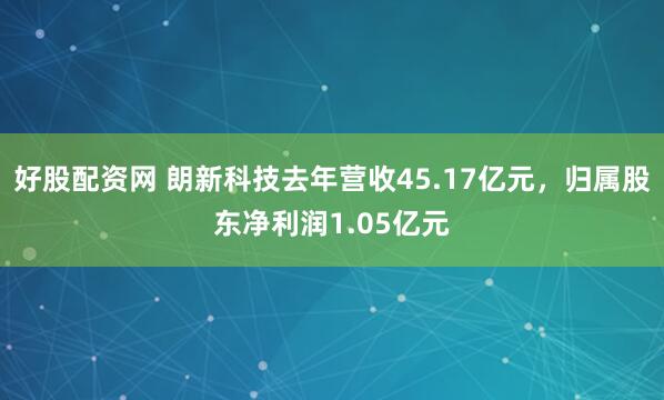 好股配资网 朗新科技去年营收45.17亿元，归属股东净利润1.05亿元