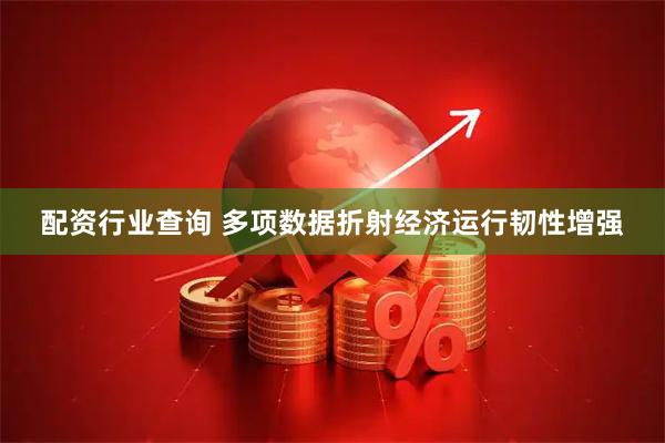 配资行业查询 多项数据折射经济运行韧性增强