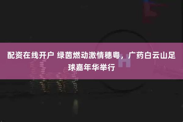 配资在线开户 绿茵燃动激情穗粤，广药白云山足球嘉年华举行